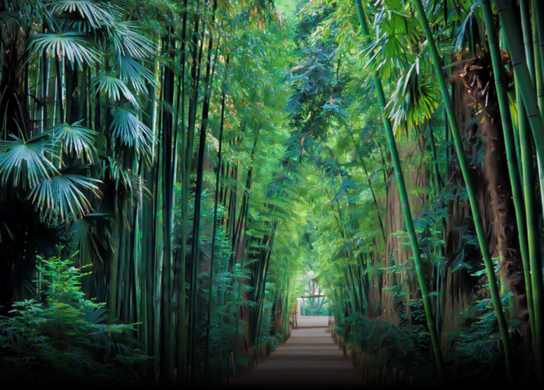 Der Bambusgarten in den Cevennen